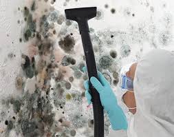 Best Mold Odor Removal Services in Hampden Sydney, VA